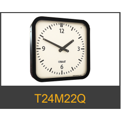 display-t24m22q